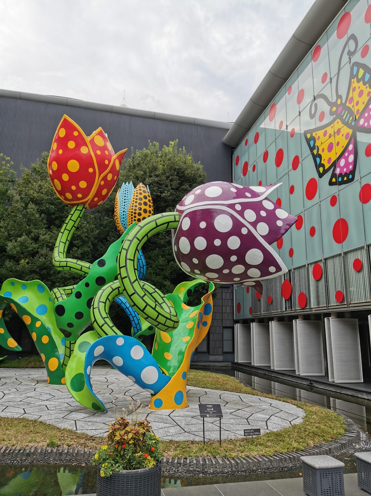 YAYOI KUSAMA